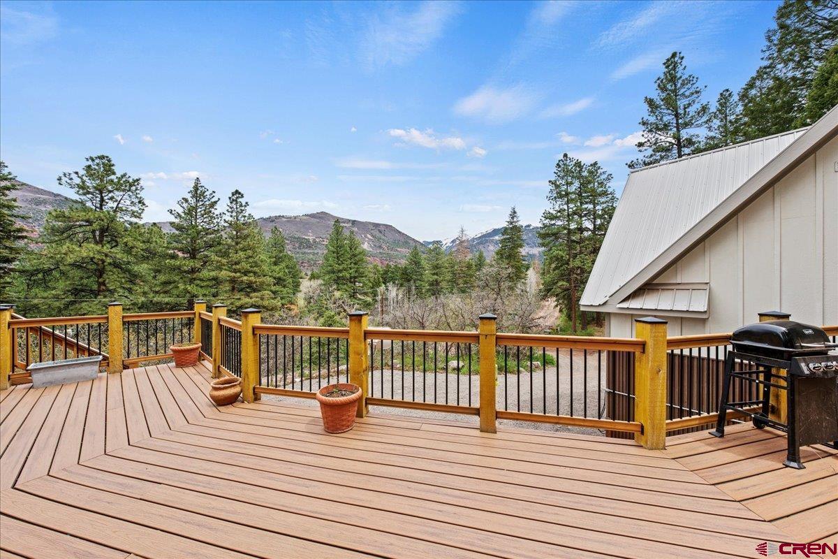 3153 County Road 17 Ridgway, CO 81432 - Photo 6 of 34