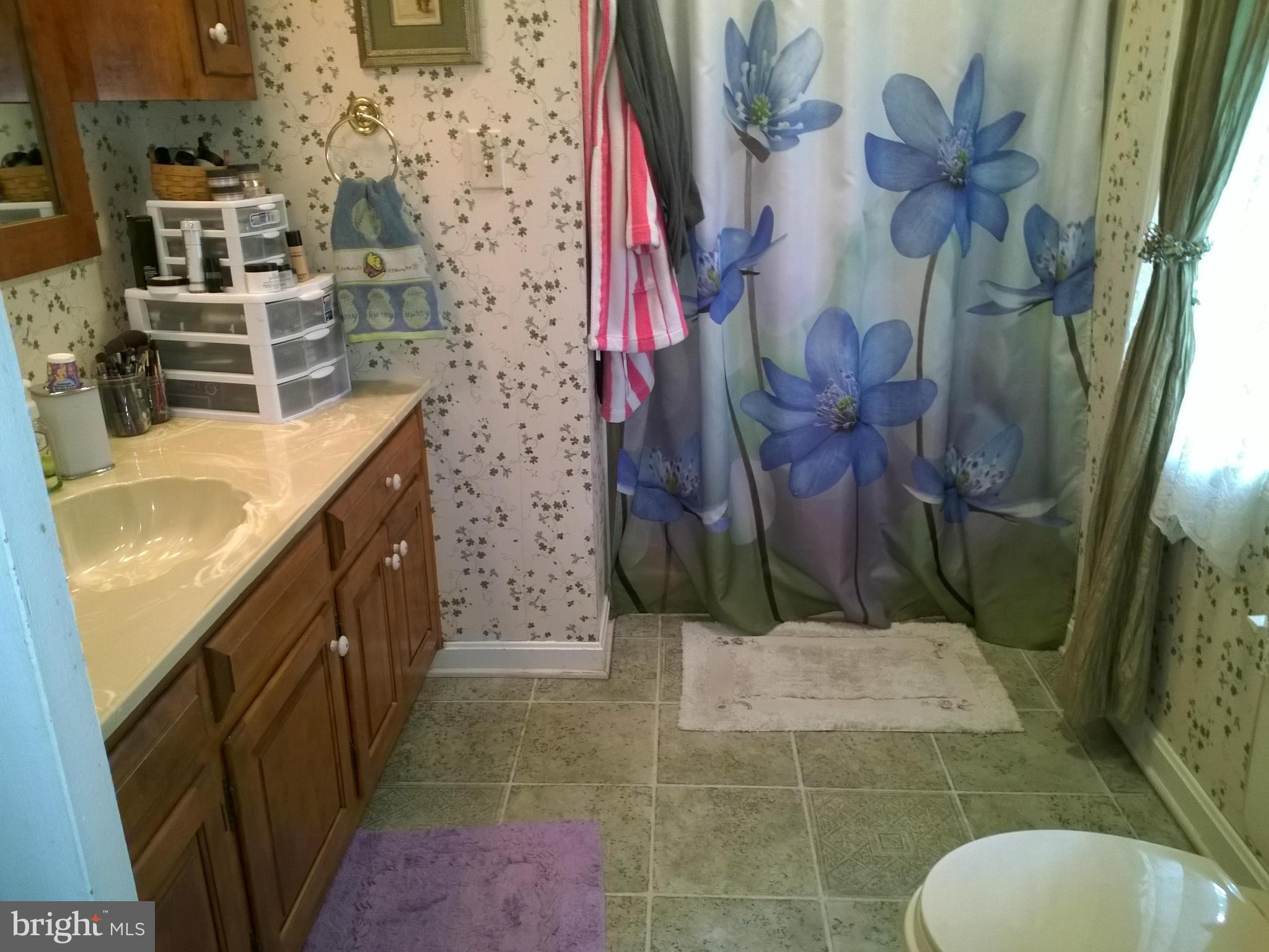 2011 Hughes Shop Road Westminster, MD 21158 - Photo 17 of 27 Bath (Master)