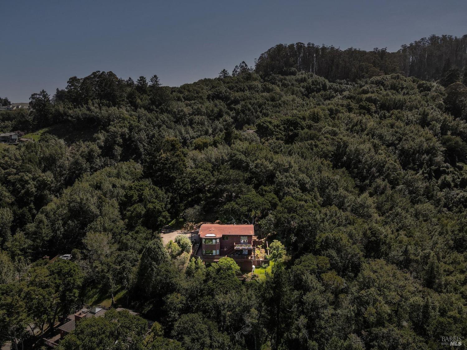 480 Live Oak Drive Mill Valley, CA 94941 - Photo 62 of 71 a backyard of a house with a yard and tree in back