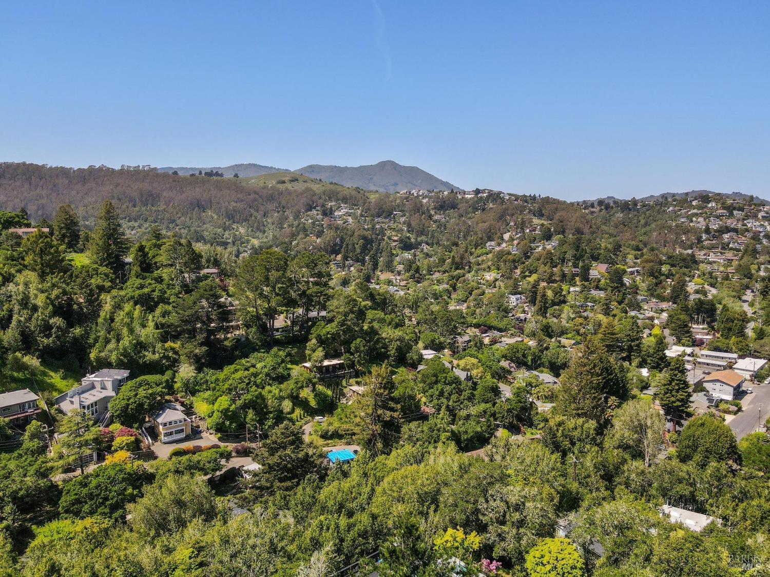 480 Live Oak Drive Mill Valley, CA 94941 - Photo 64 of 71 an aerial view of houses covered in trees