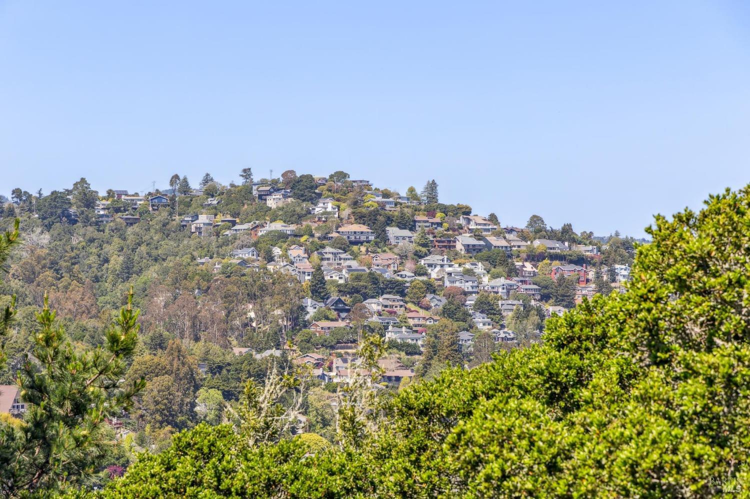 480 Live Oak Drive Mill Valley, CA 94941 - Photo 70 of 71 a view of a city