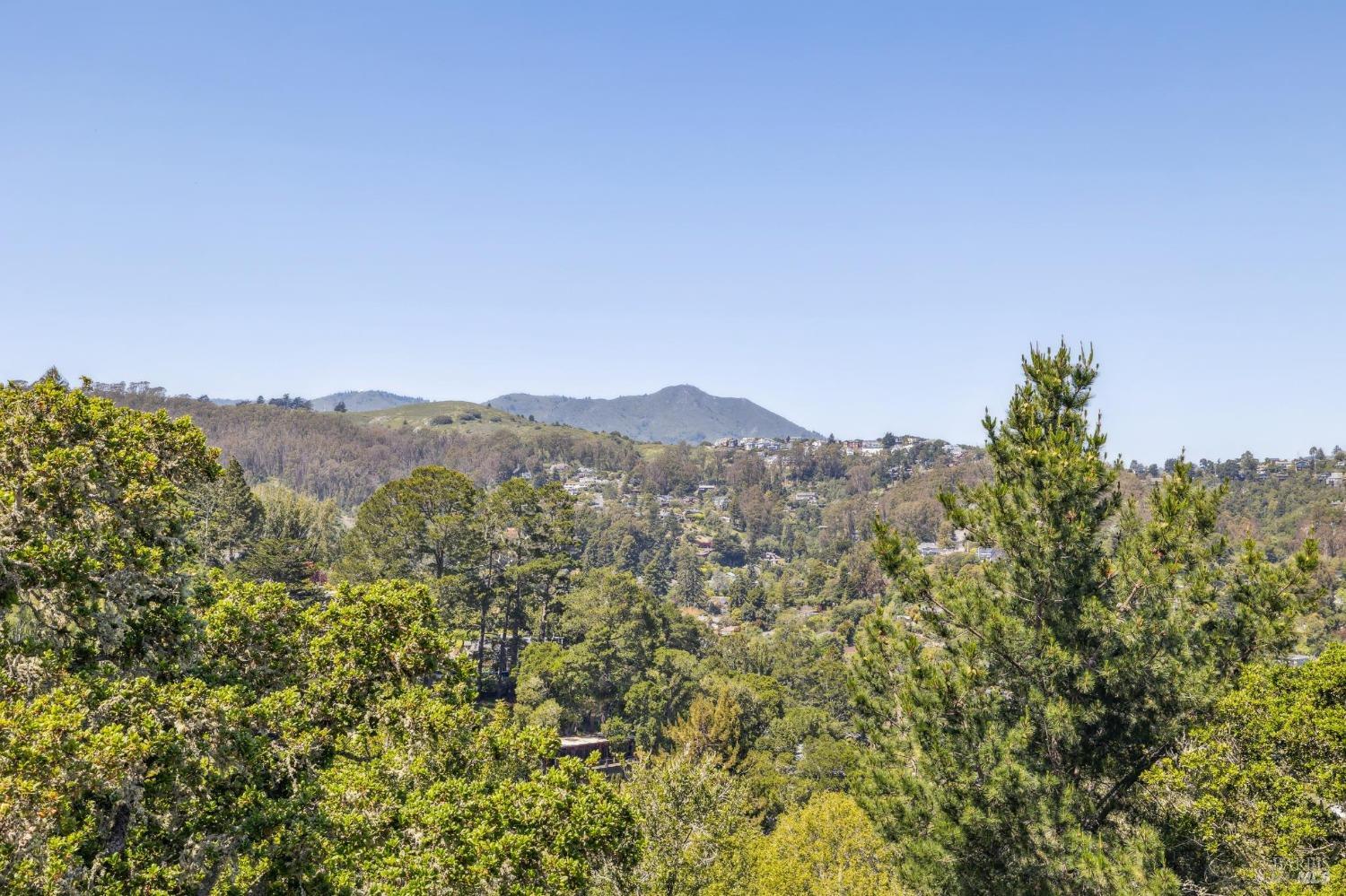 480 Live Oak Drive Mill Valley, CA 94941 - Photo 9 of 71 a view of a city
