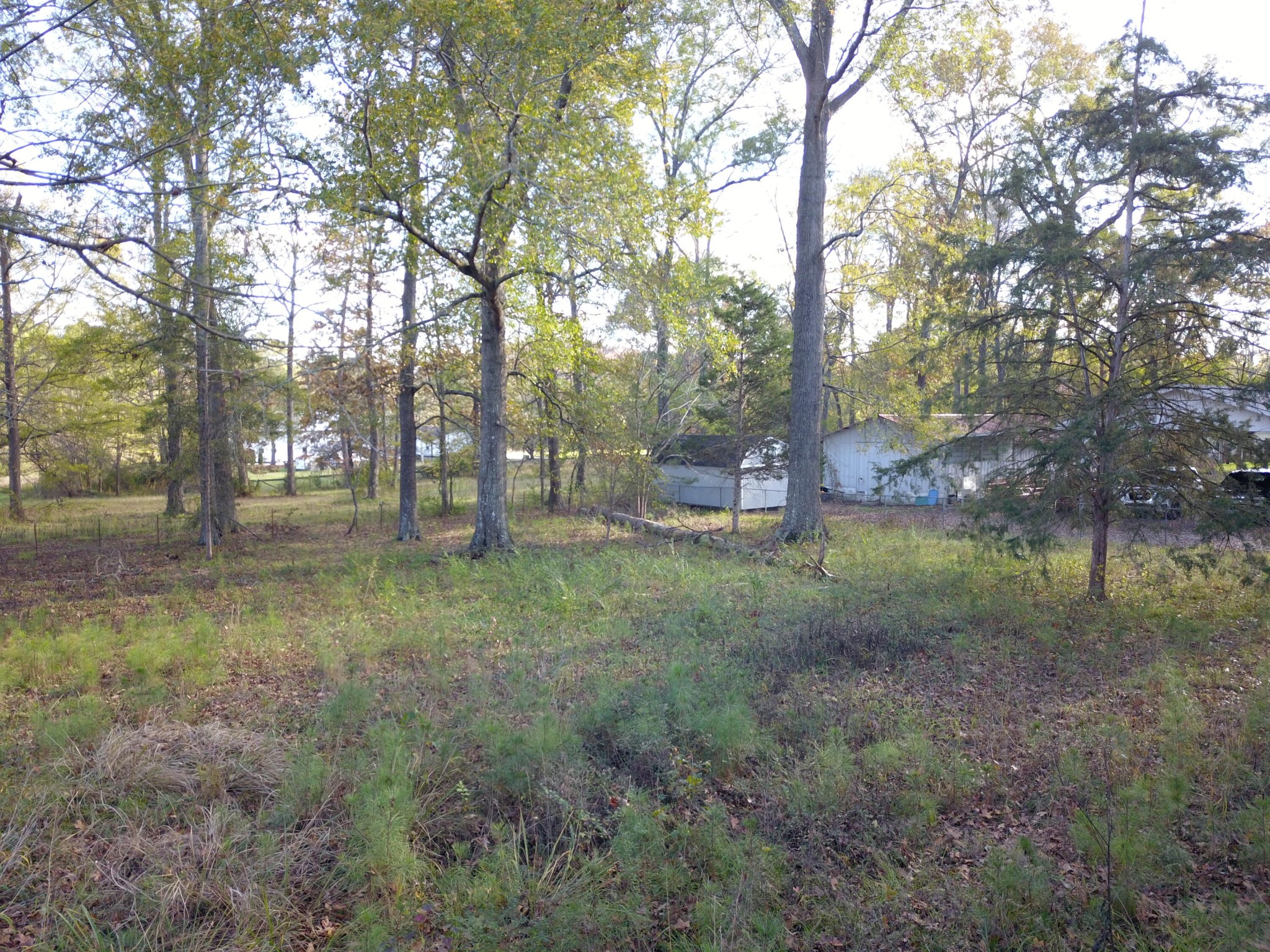0 Neighborhood Road Ringgold, GA 30736 - Photo 3 of 8 Gallery Image 3