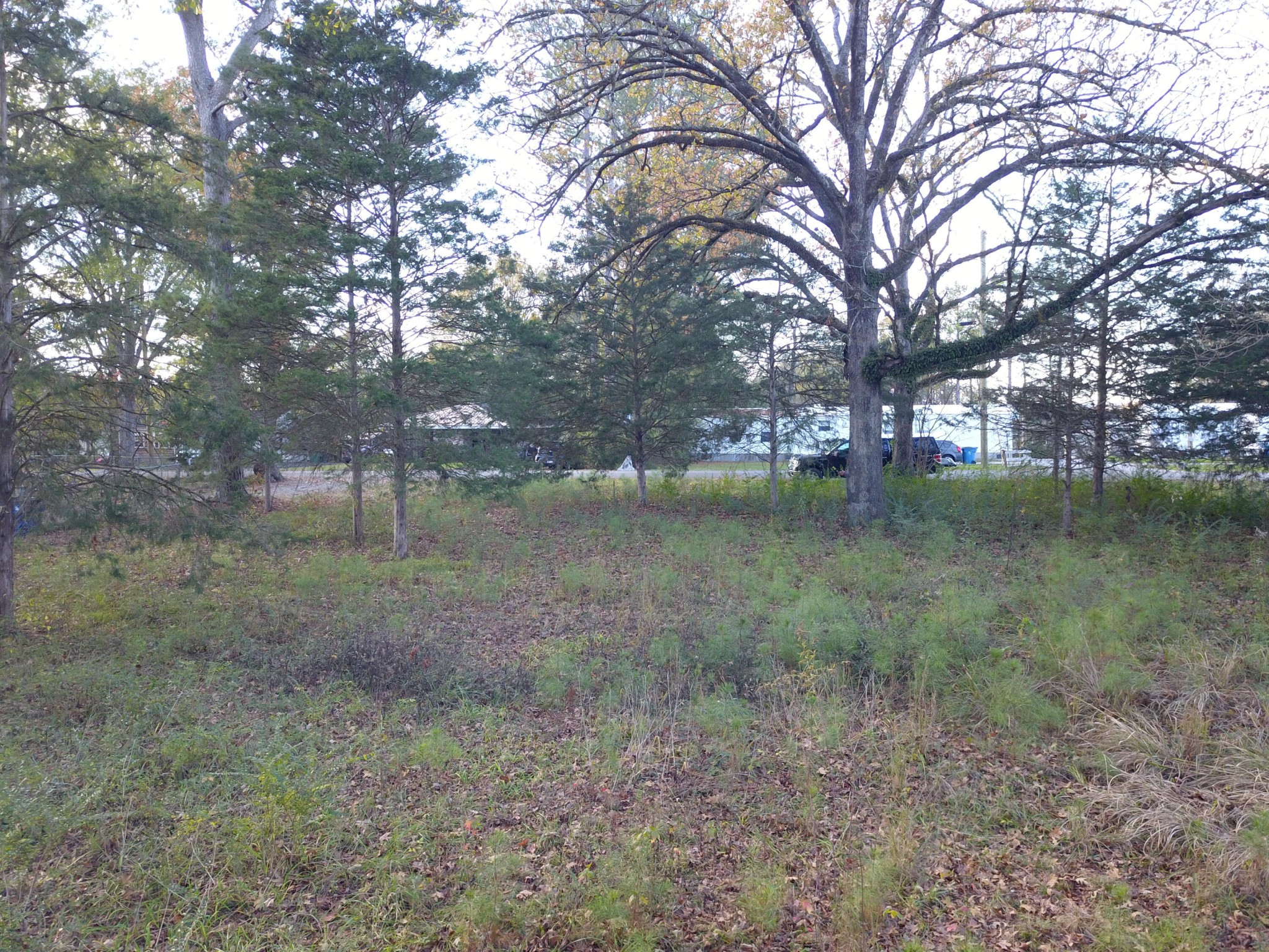 0 Neighborhood Road Ringgold, GA 30736 - Photo 5 of 8 Gallery Image 5