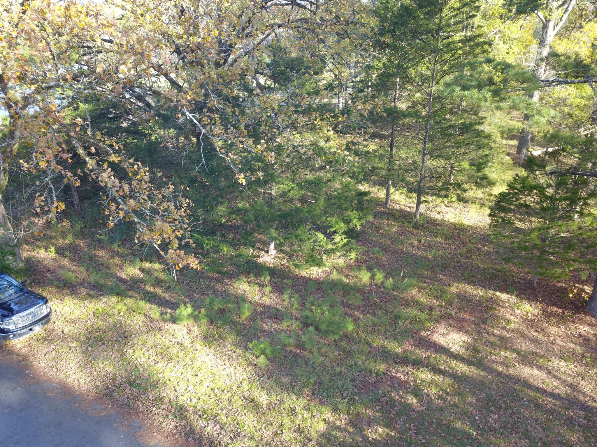 0 Neighborhood Road Ringgold, GA 30736 - Photo 7 of 8 Gallery Image 7