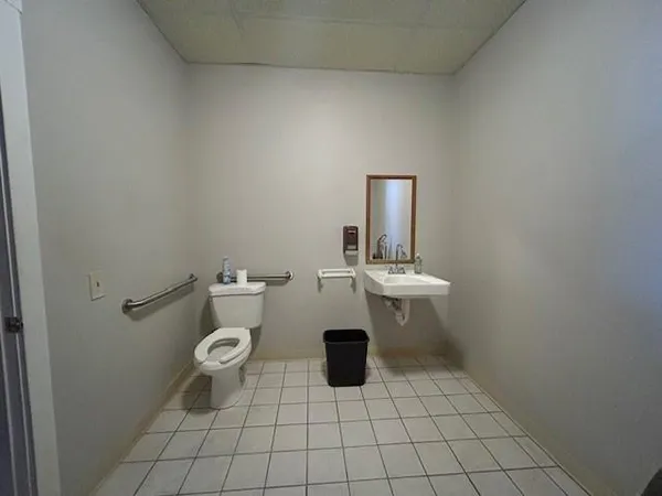 a bathroom with a sink and a toilet