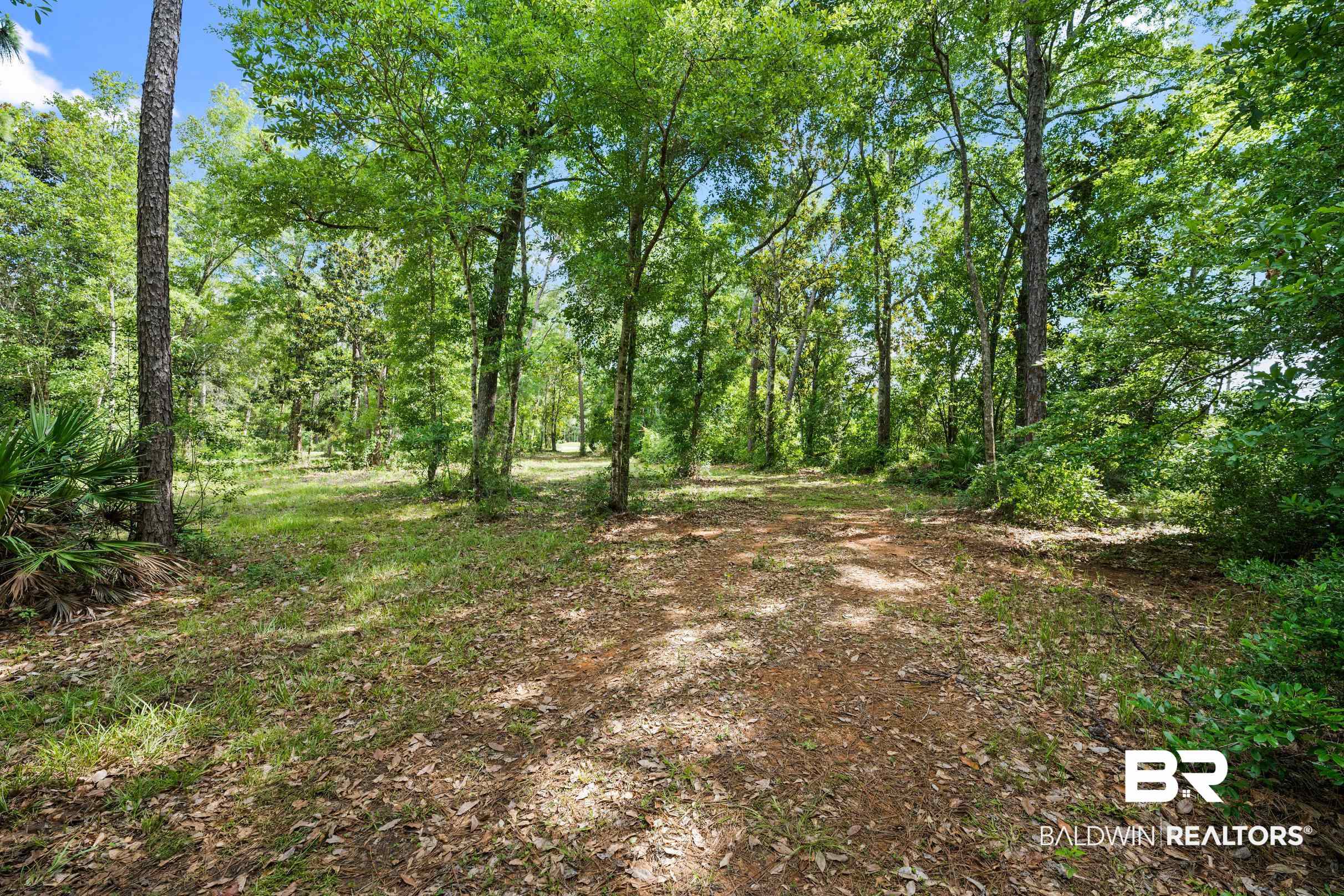 0 Eckman Road Elberta, AL 36530 - Photo 12 of 18 View of nature