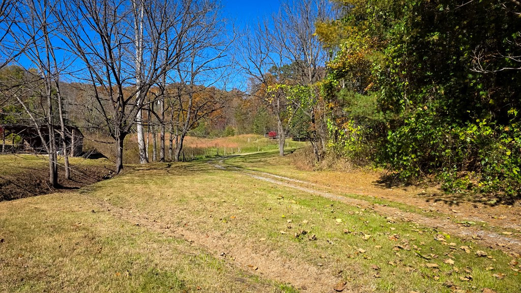 173-130 Edwards Cove Road Bryson City, NC 28713 - Photo 13 of 17