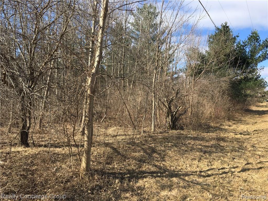 2 Sutton - Dryden, MI 48428 - Photo 18 of 18