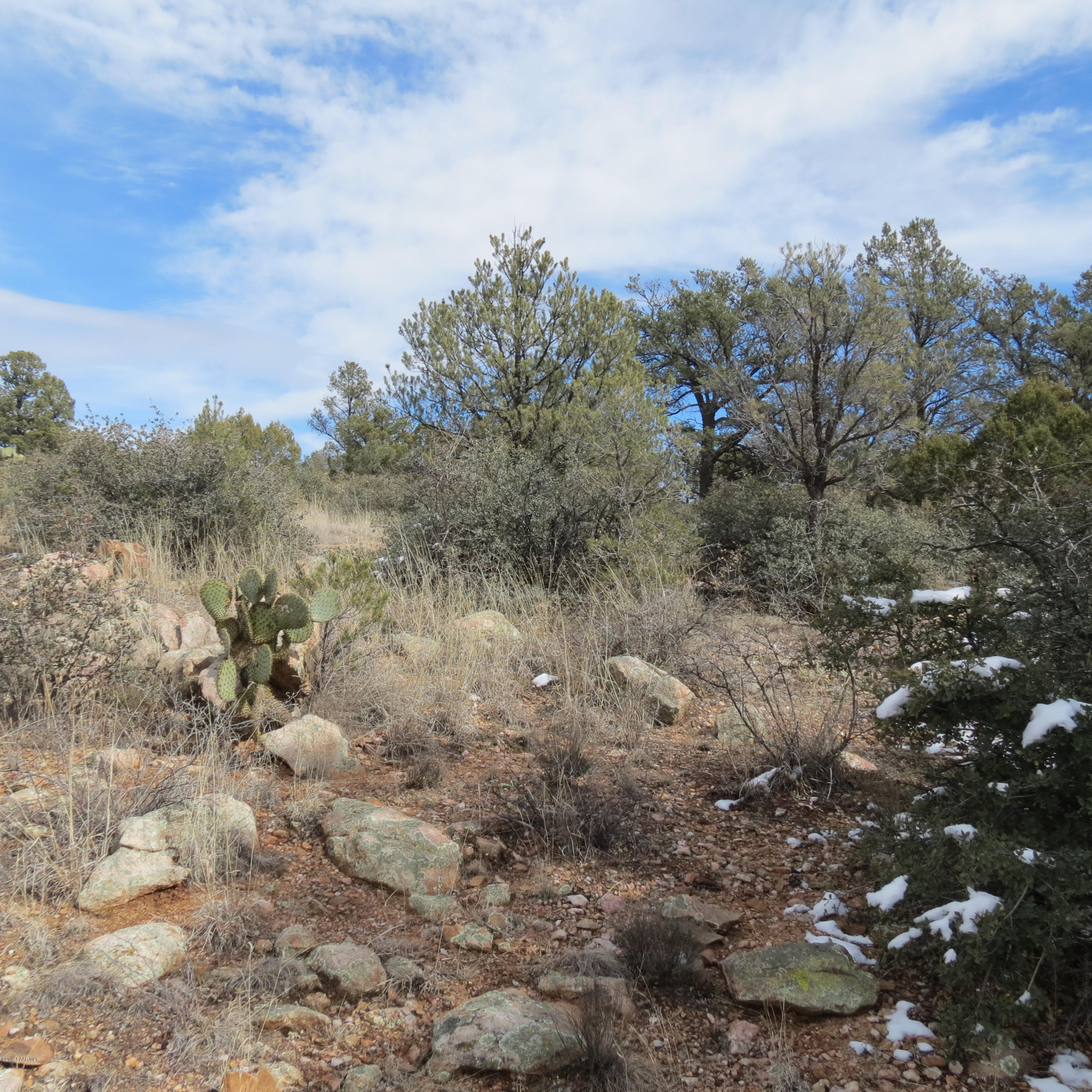 5505 West Three Forks Road Prescott, AZ 86305 - Photo 11 of 16 IMG_4269