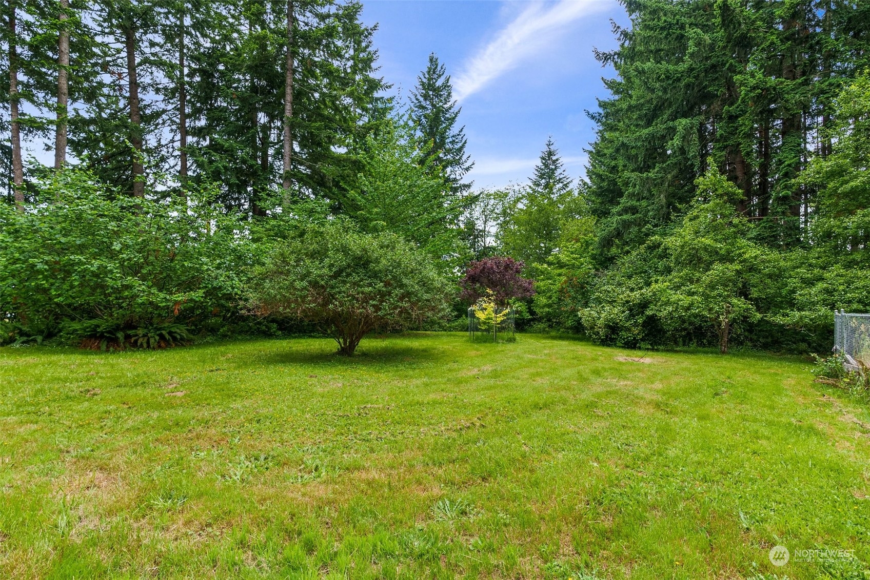 289 Kennicott Road Chehalis, WA 98532 - Photo 36 of 40 a view of a green yard