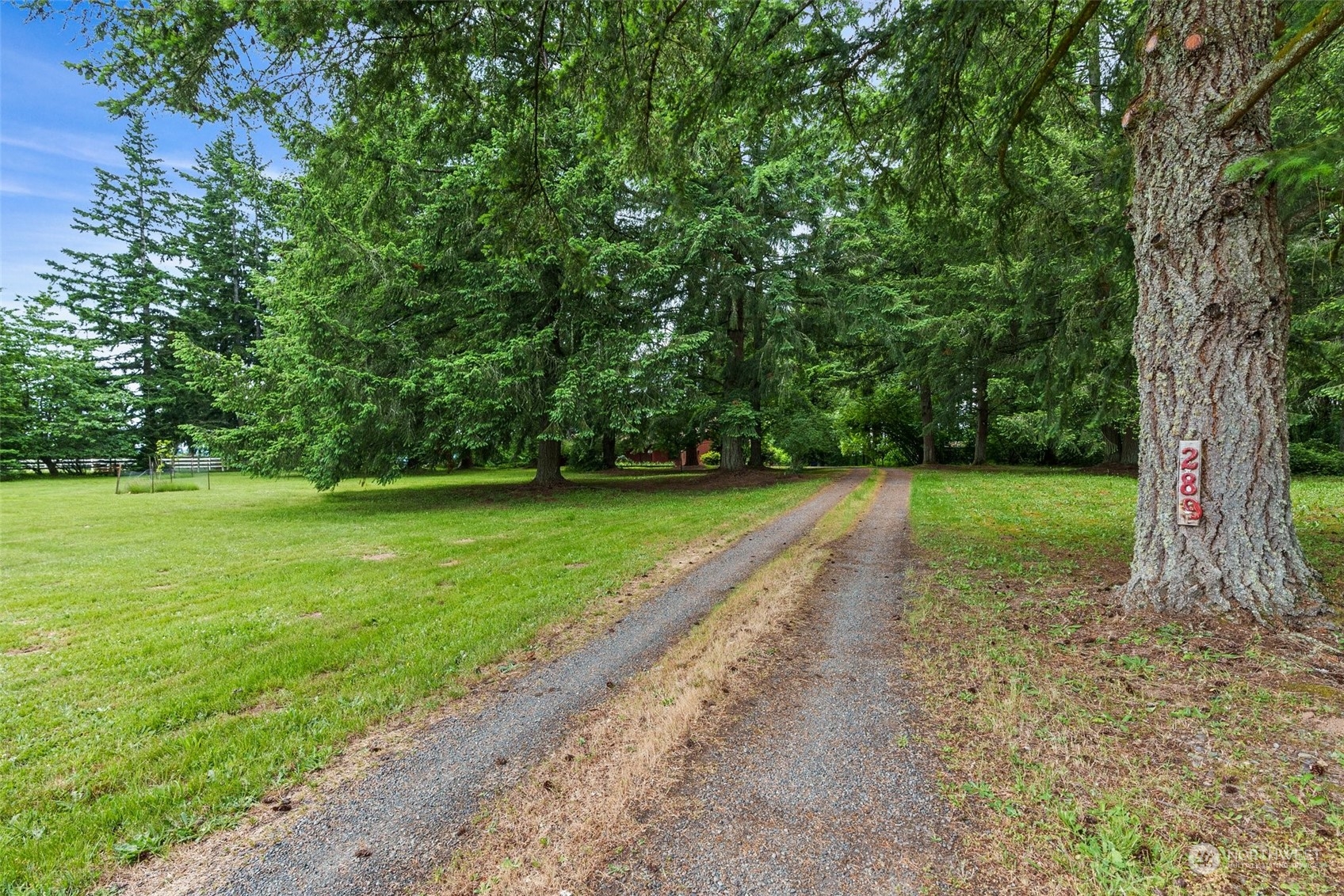 289 Kennicott Road Chehalis, WA 98532 - Photo 39 of 40 a view of a park with large trees