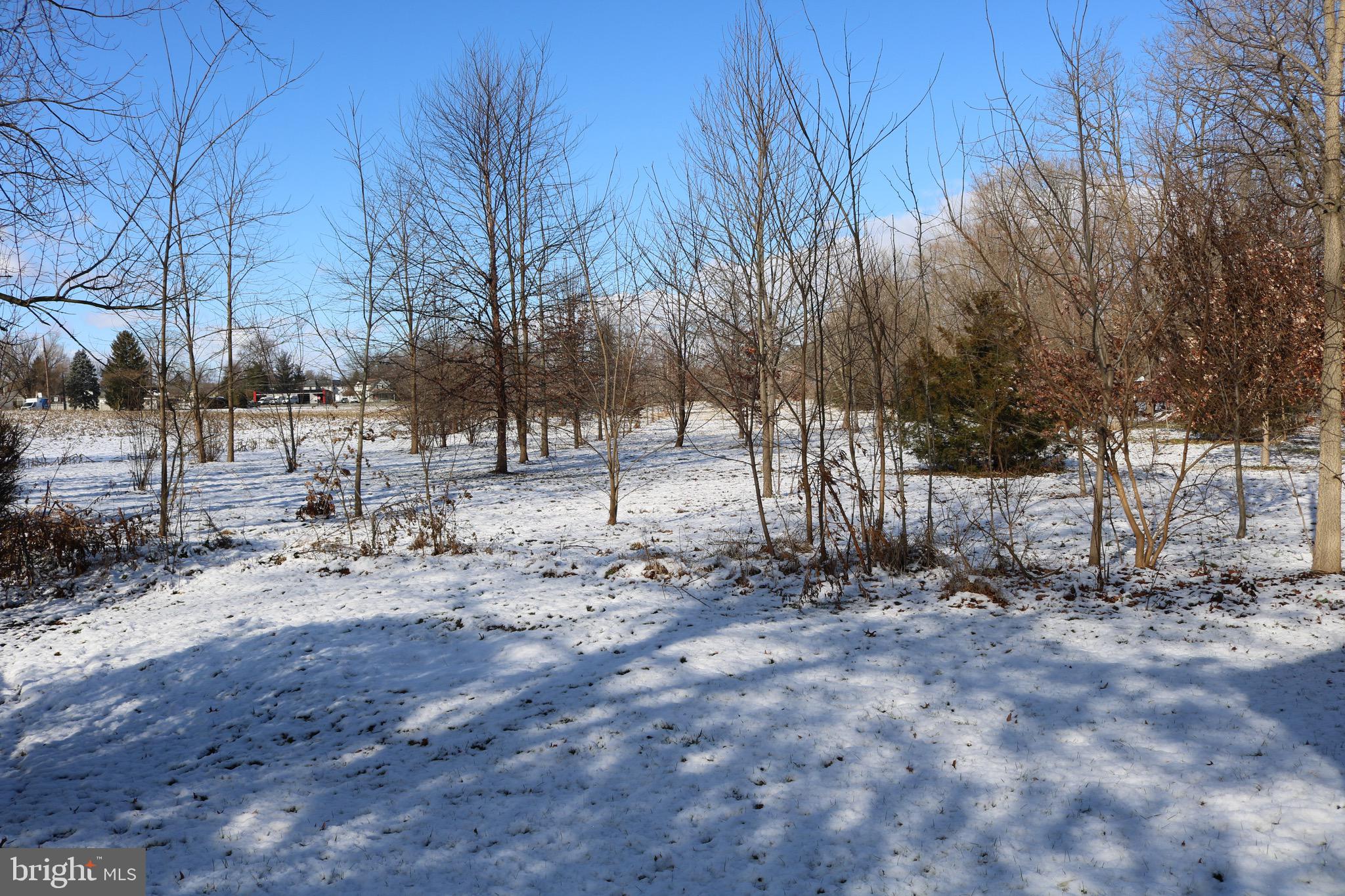 237 Skylark Road Lititz, PA 17543 - Photo 30 of 30 Side Yard
