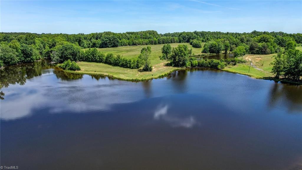 115 Washburn Lake Road Reidsville, NC 27320 - Photo 12 of 36