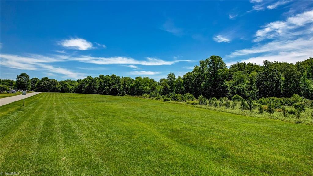 115 Washburn Lake Road Reidsville, NC 27320 - Photo 23 of 36