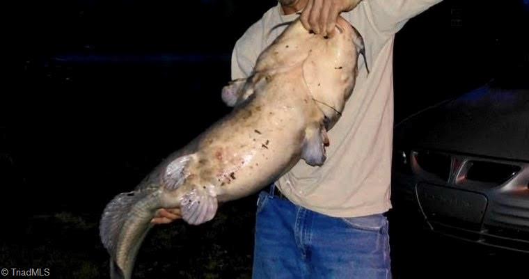 115 Washburn Lake Road Reidsville, NC 27320 - Photo 30 of 36