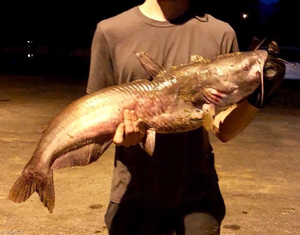 115 Washburn Lake Road Reidsville, NC 27320 - Photo 31 of 36