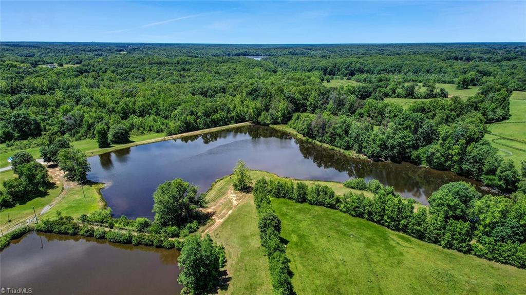 115 Washburn Lake Road Reidsville, NC 27320 - Photo 7 of 36