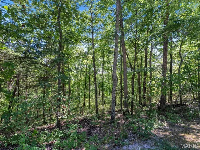 $69,900 | Lot 7 Fairfield Valley Road, Pacific, MO 63069