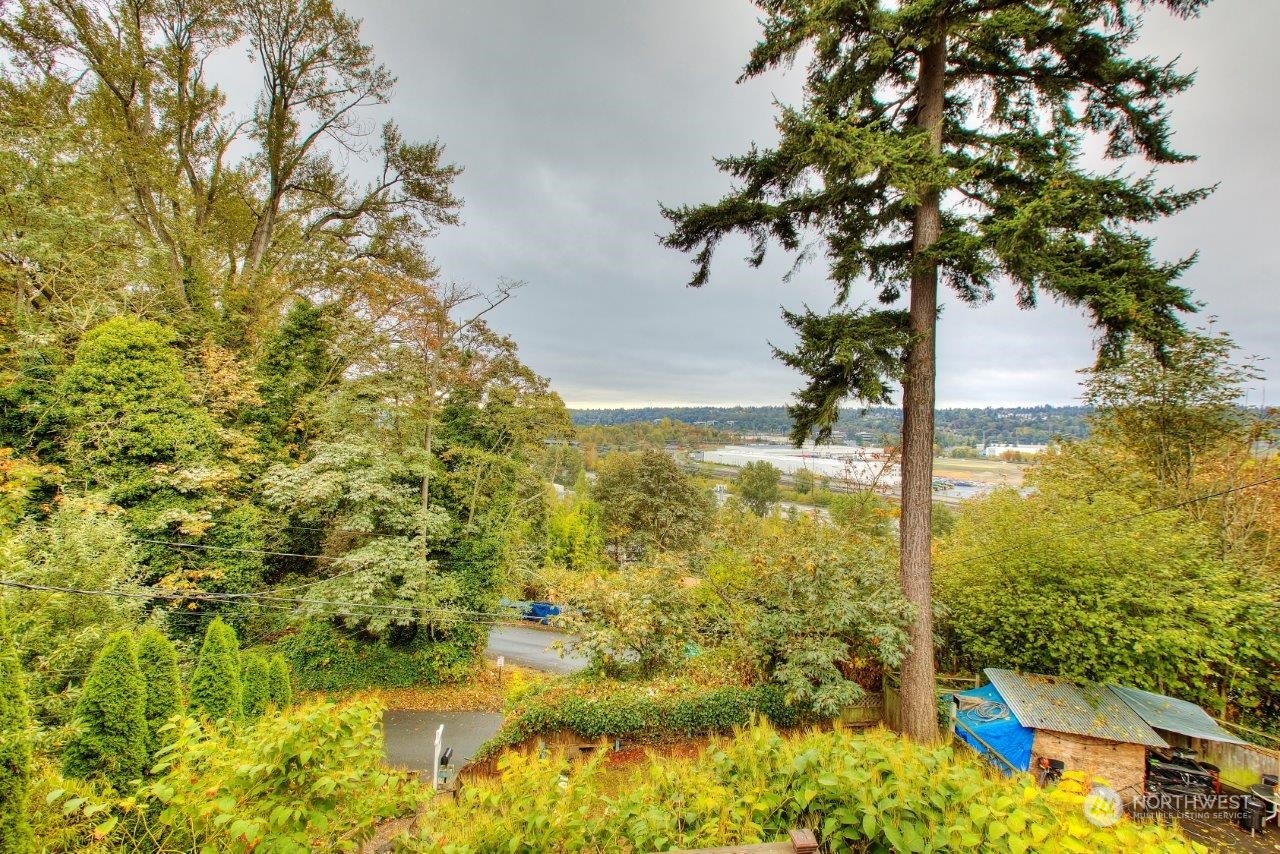 3906 South Pilgrim Street Seattle, WA 98118 - Photo 23 of 29 a view of a garden with a tree