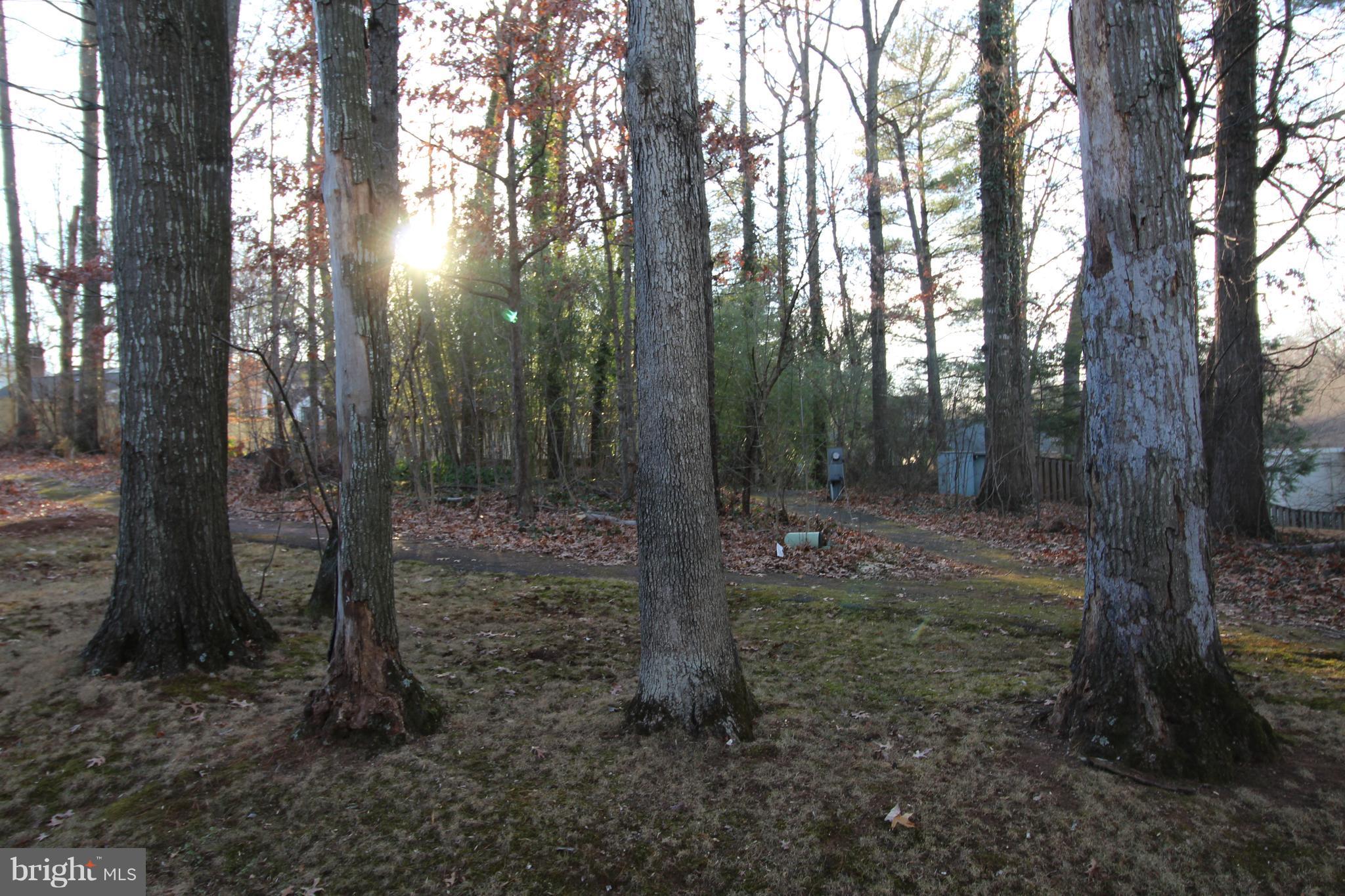 3 Greencastle Road Sterling, VA 20164 - Photo 6 of 23 walking trails behind yard
