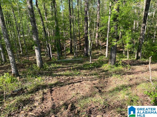 1721 Westover Road, Unit 1 Sterrett, AL 35147 - Photo 8 of 9
