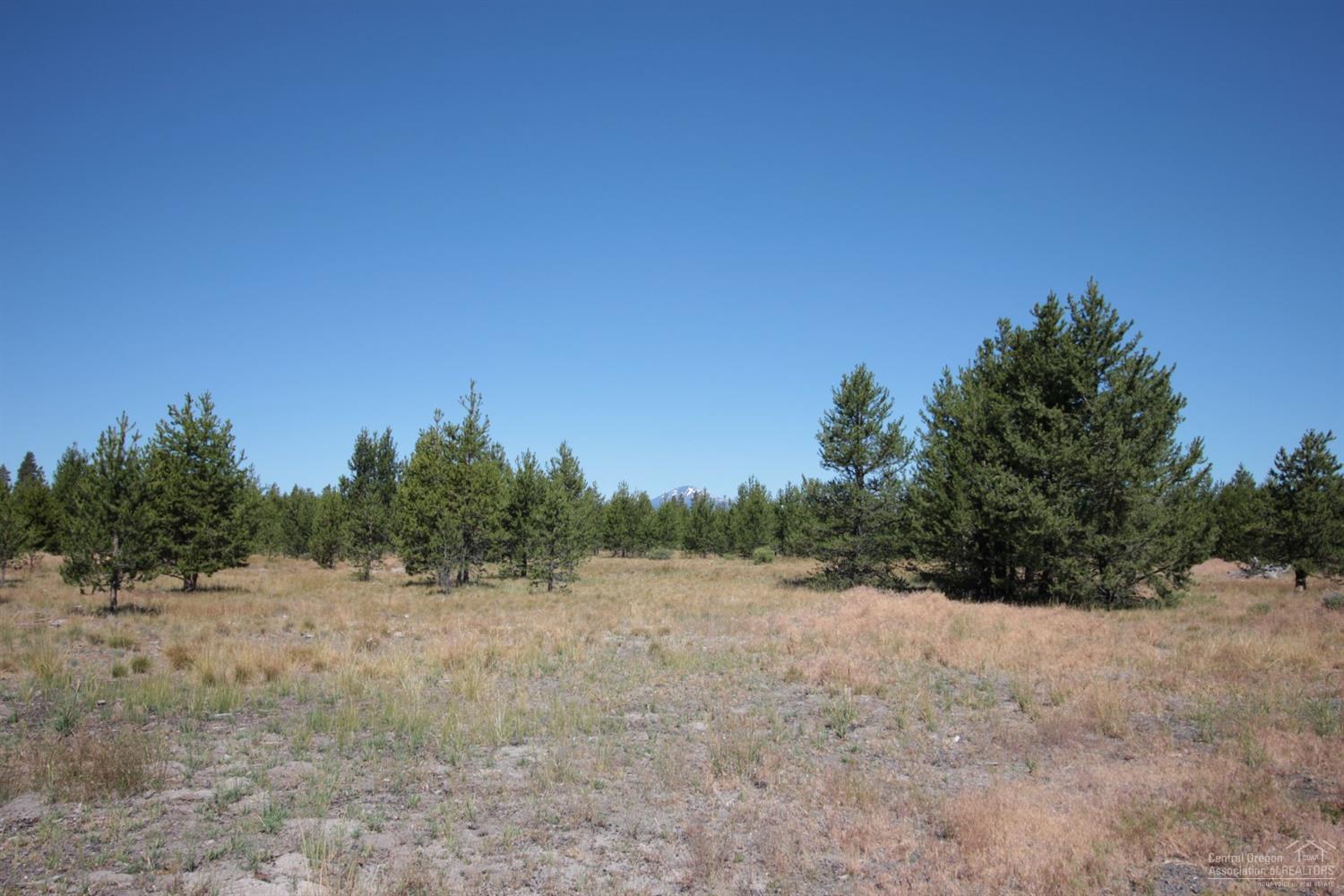 55185 Tamarack Road Bend, OR 97707 - Photo 4 of 9 Additional Photo