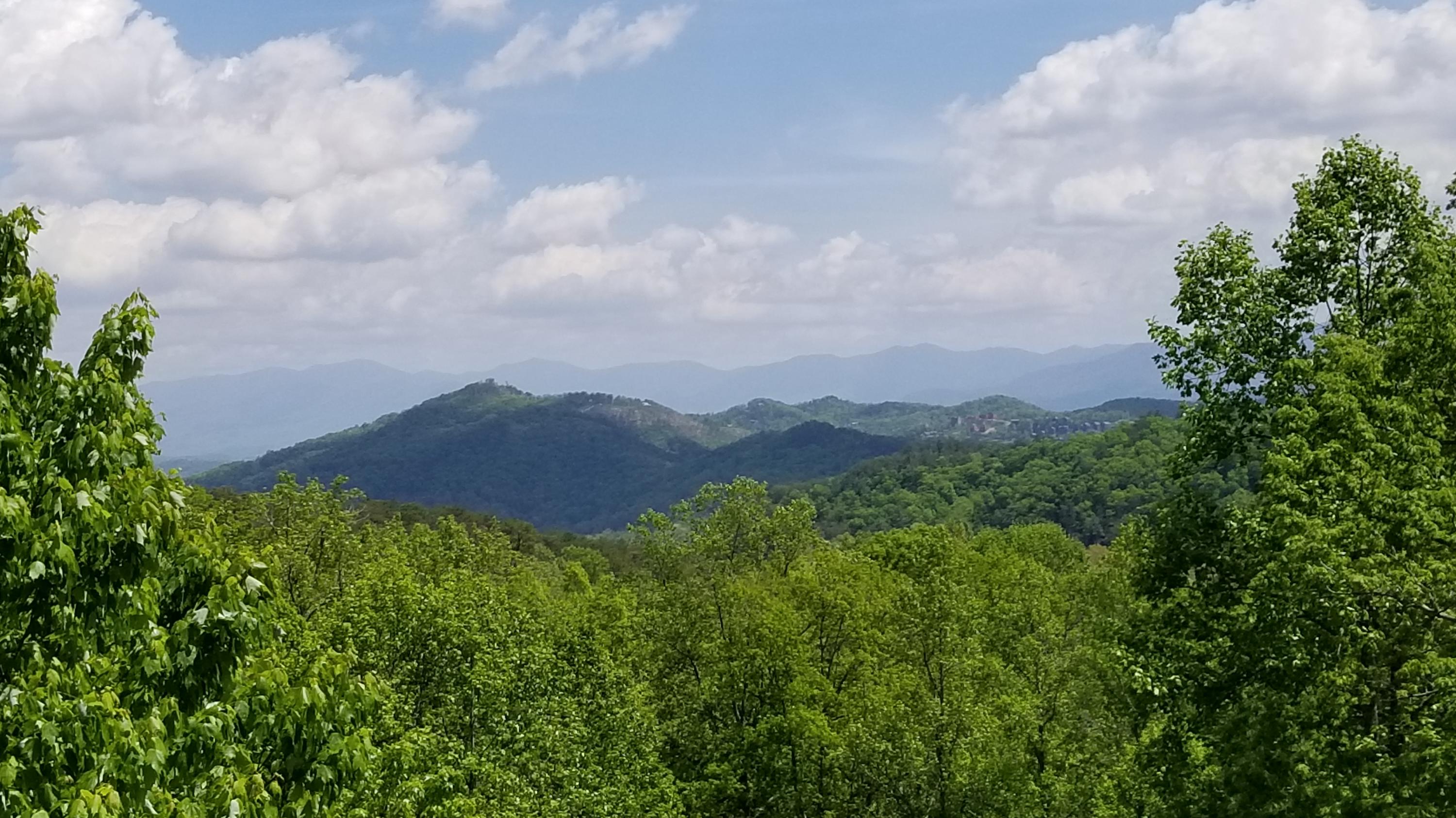 2010 Bluff Mountain Road Sevierville, TN 37876 - Photo 30 of 40 20210430_142619