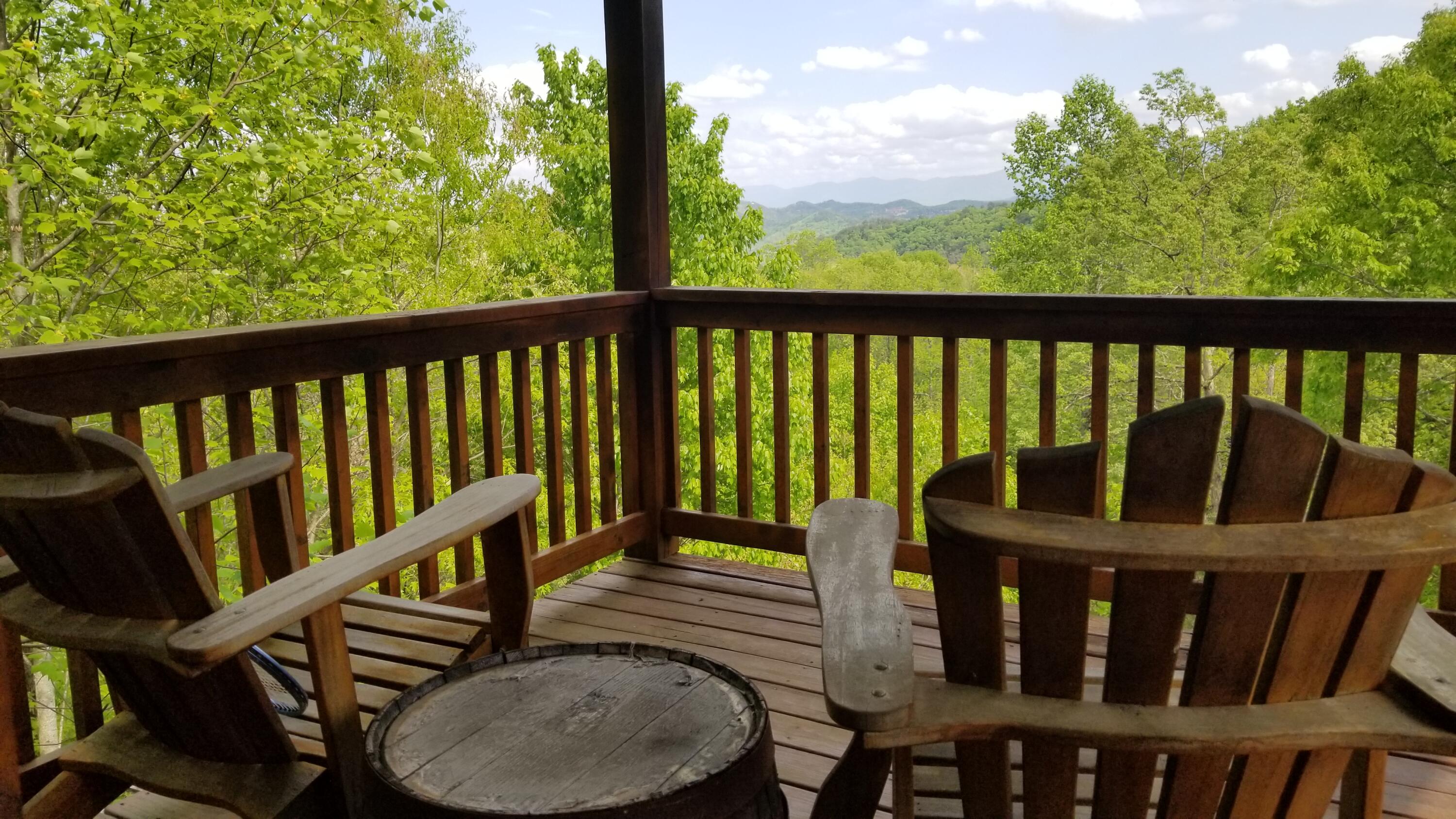 2010 Bluff Mountain Road Sevierville, TN 37876 - Photo 32 of 40 20210428_162947