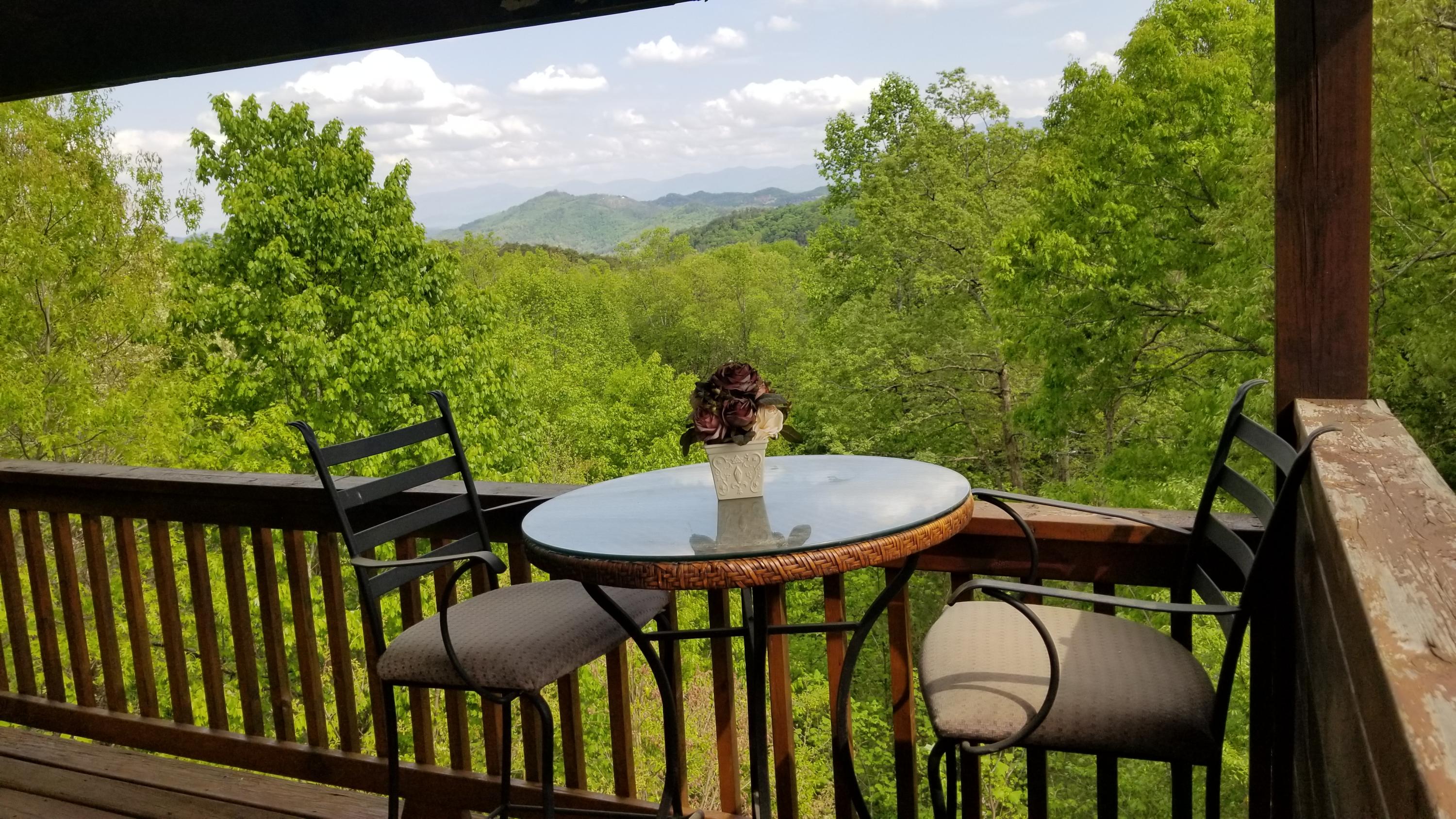 2010 Bluff Mountain Road Sevierville, TN 37876 - Photo 33 of 40 20210428_163052