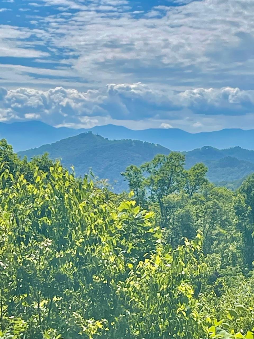 2010 Bluff Mountain Road Sevierville, TN 37876 - Photo 38 of 40 IMG_3279