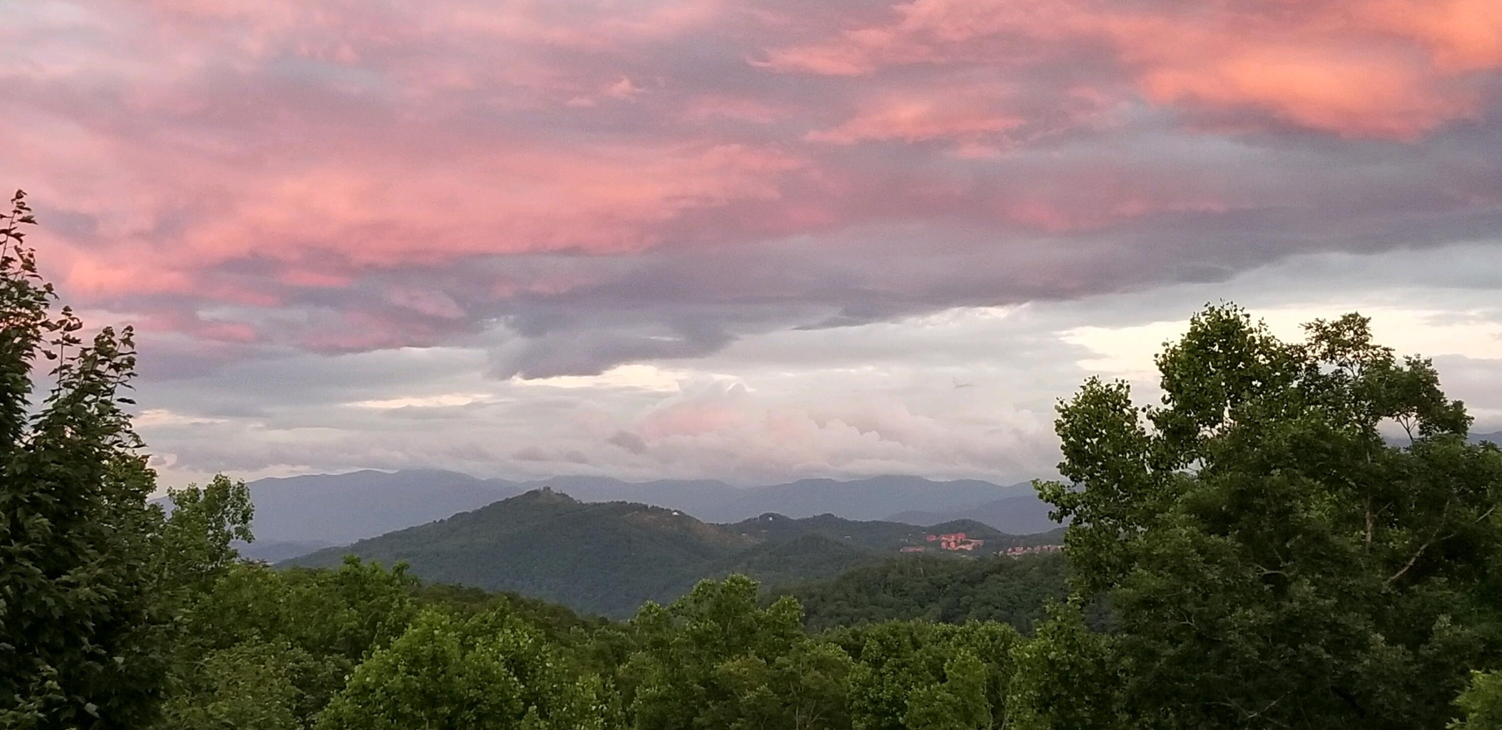 2010 Bluff Mountain Road Sevierville, TN 37876 - Photo 6 of 40 bluff view 2