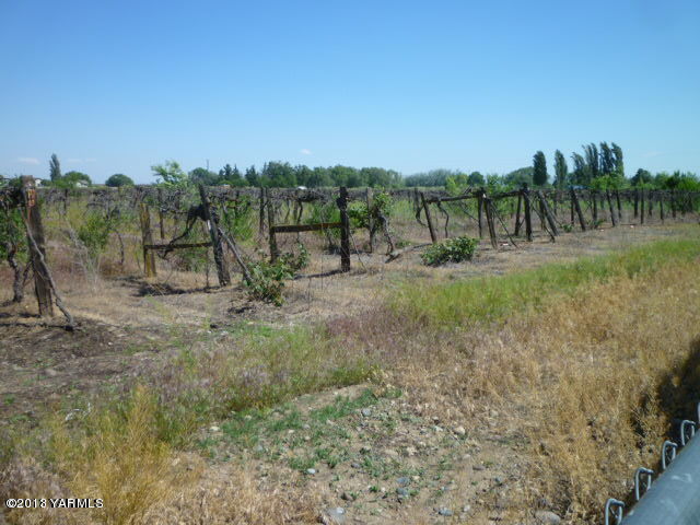 1330 Branch Road Toppenish, WA 98948 - Photo 2 of 22 a view of a field with trees in the background