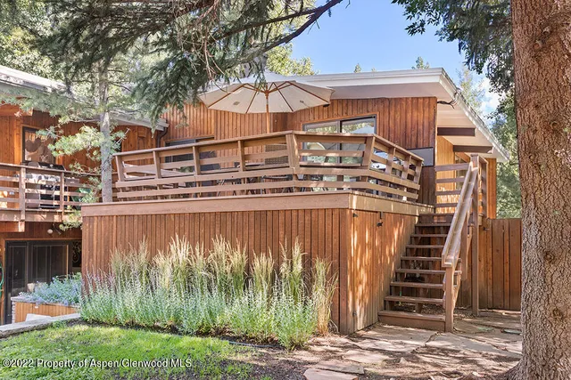 a view of a backyard with plants and large trees