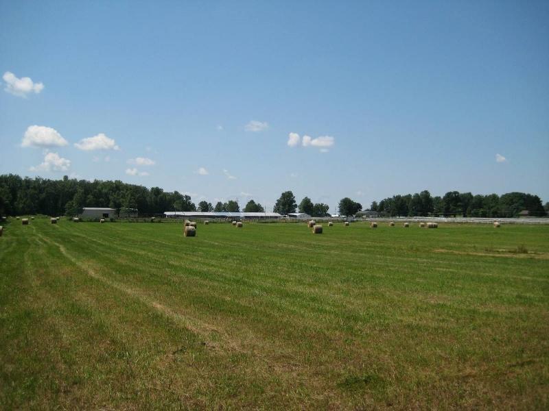 11337 Watkins Road Southwest Pataskala, OH 43062 - Photo 31 of 33
