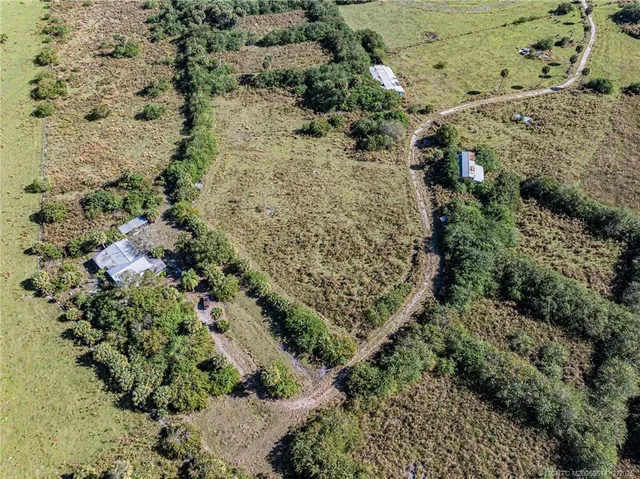 a view of a garden with a yard