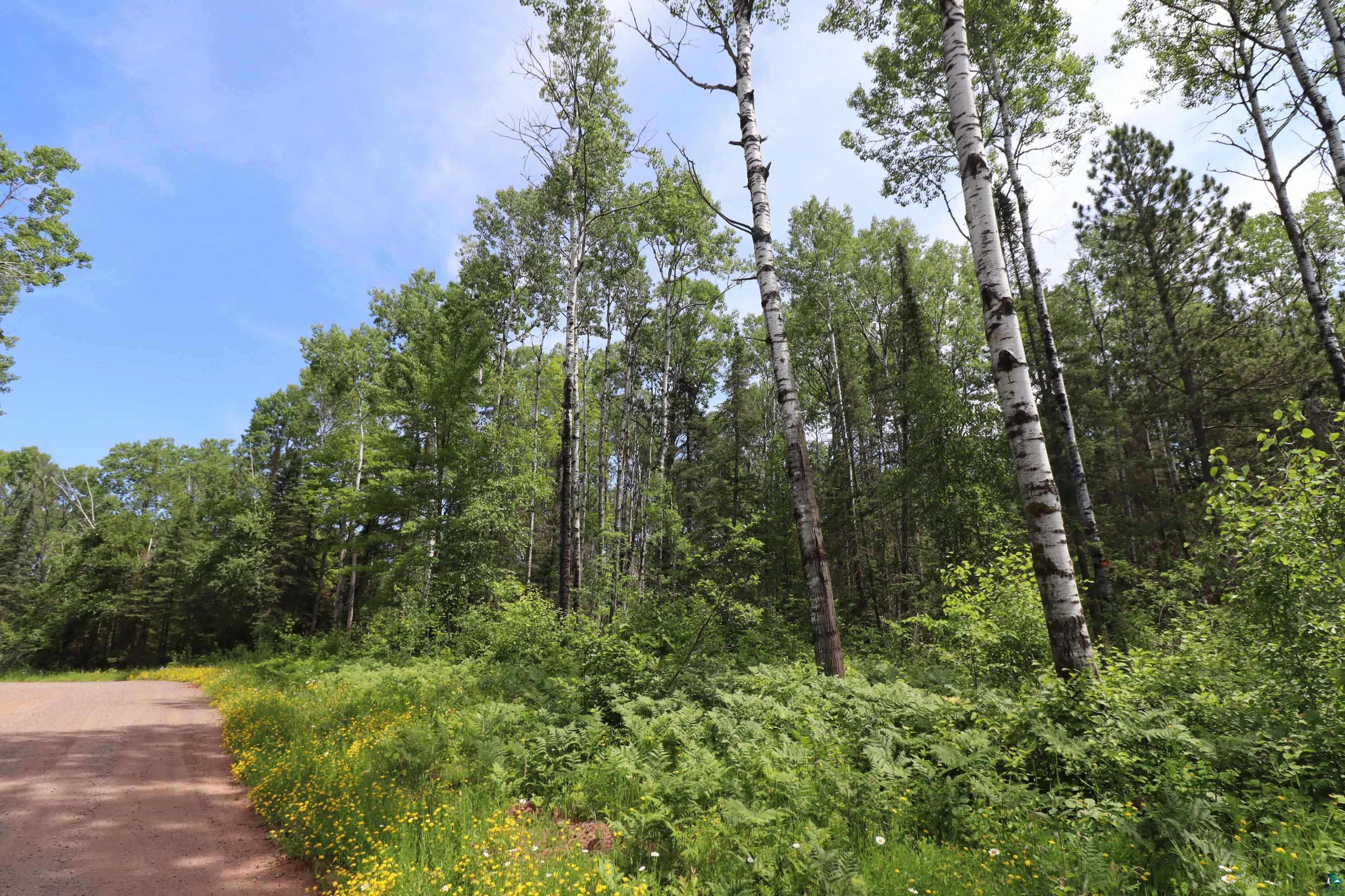 Lot 1 Campbell Road Herbster, WI 54844 - Photo 8 of 14
