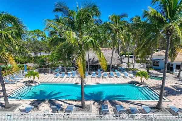 a view of a yard with palm trees