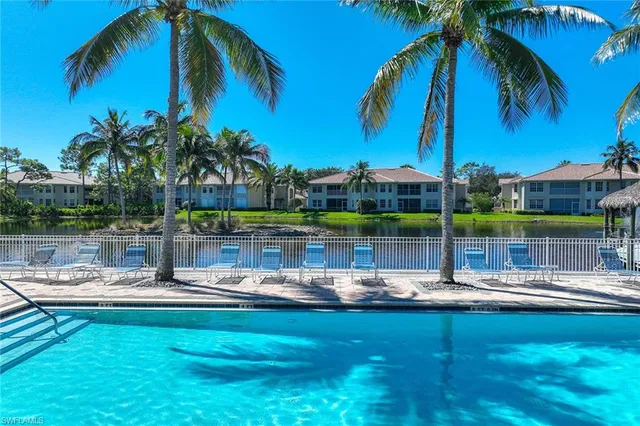a view of a lake with a palm tree