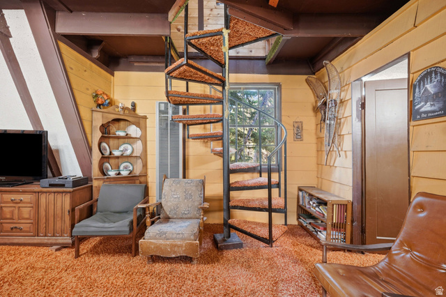 8505 South Snake Crk Road Salt Lake City, UT 84121 - Photo 11 of 67 Black spiral staircase with carpeted treads