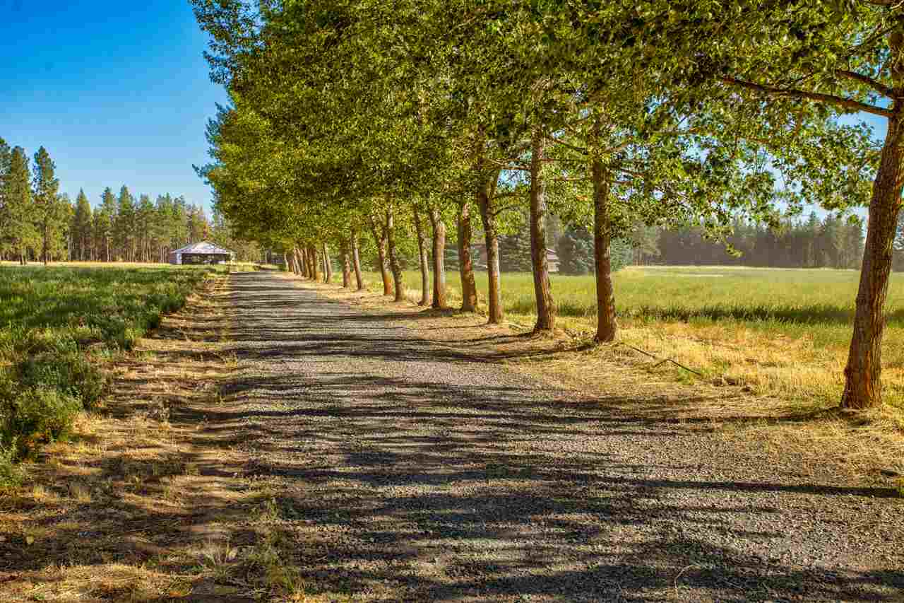3621 West Smythe Road Cheney, WA 99004 - Photo 4 of 41