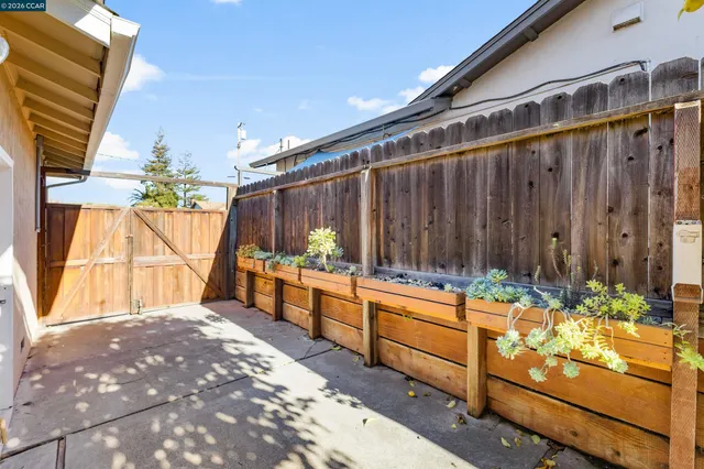 a view of a tree with plants and wooden fence