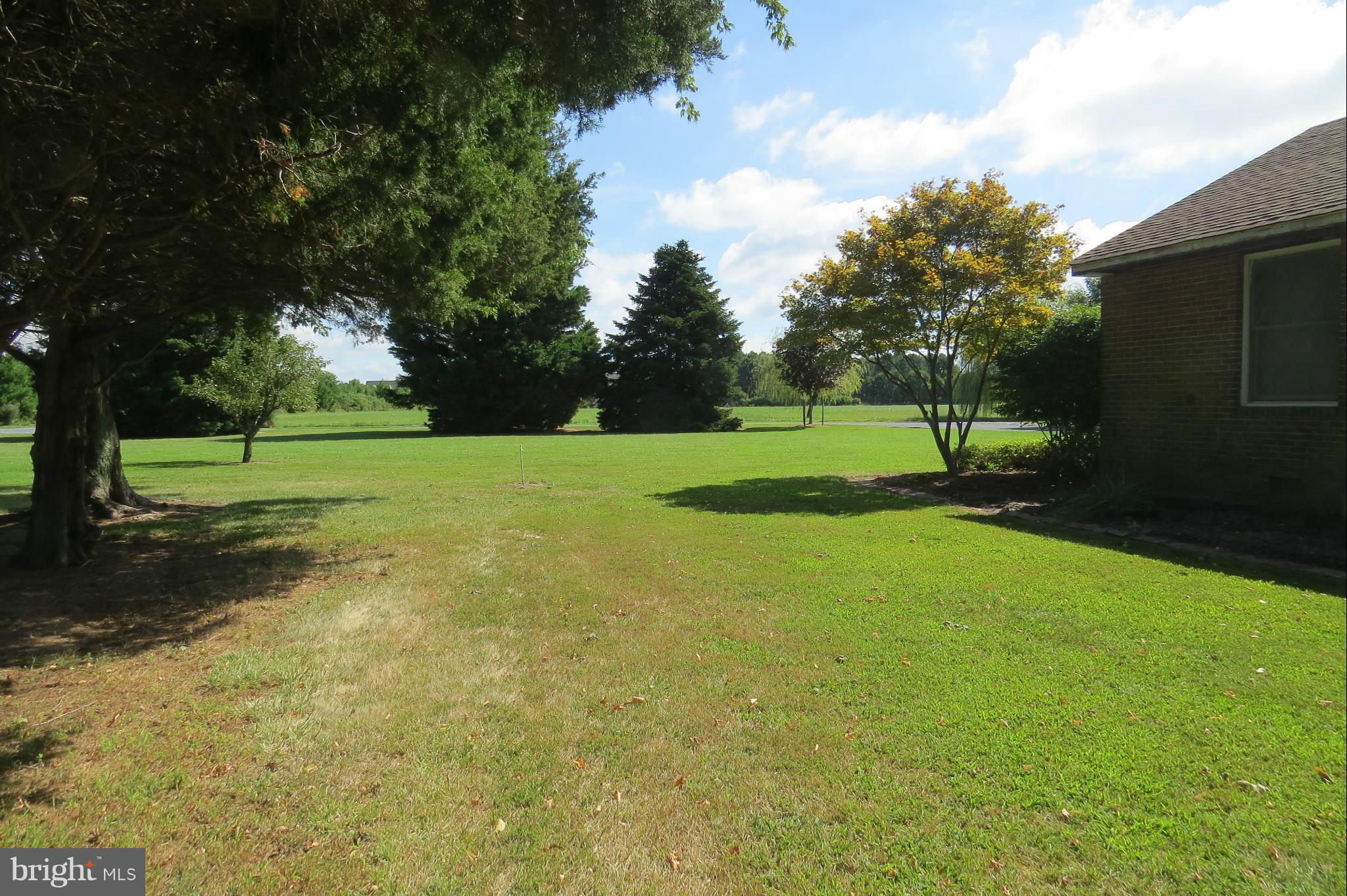 4962 Bar Neck Road Tilghman, MD 21671 - Photo 22 of 30 Great yard with mature trees