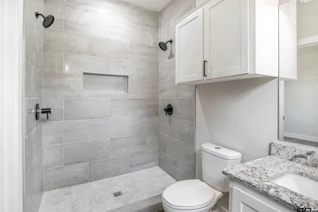 a bathroom with a granite countertop sink a toilet and shower