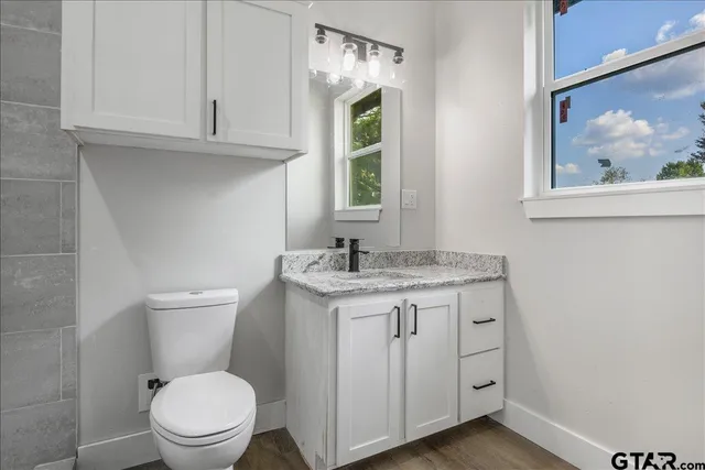 a bathroom with a granite countertop toilet sink and mirror
