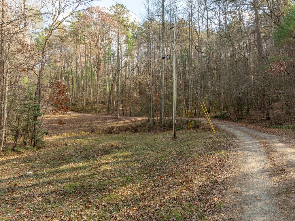 789 Jolley Way Epworth, GA 30541 - Photo 57 of 62 a view of outdoor space with trees