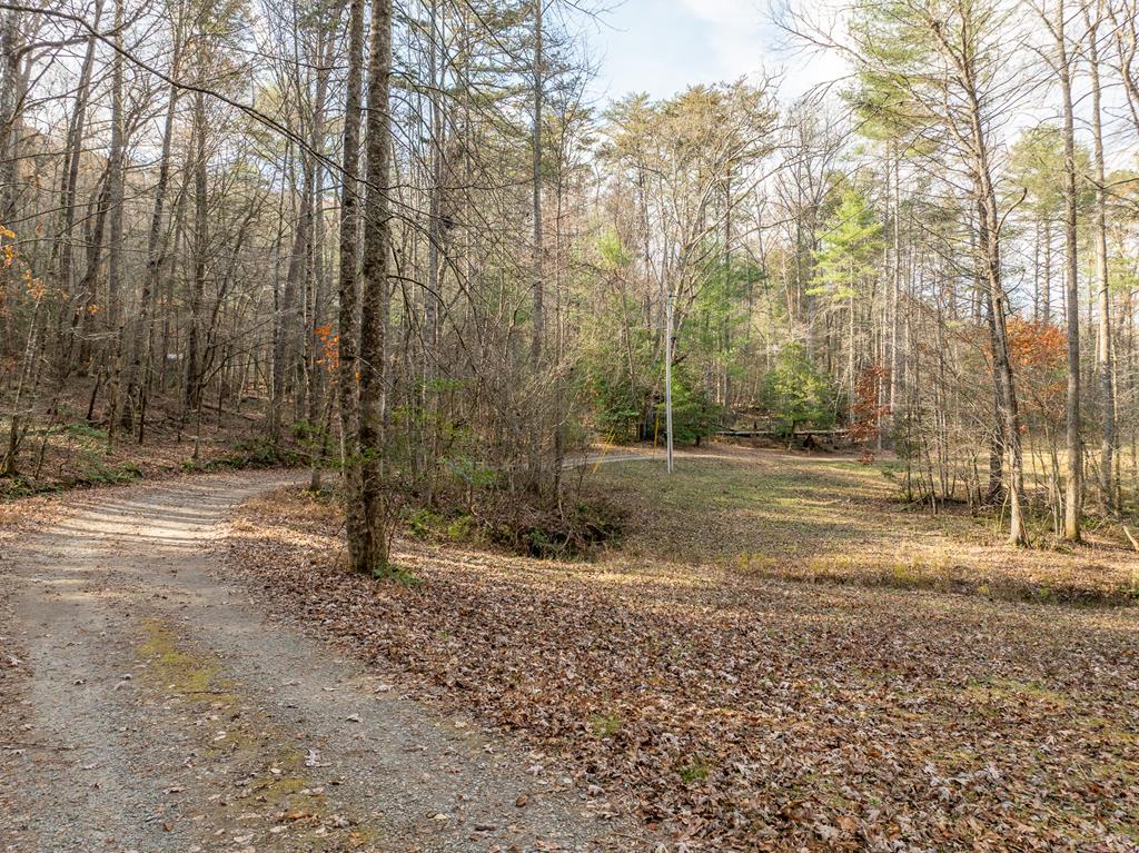 789 Jolley Way Epworth, GA 30541 - Photo 59 of 62 a view of a yard with trees