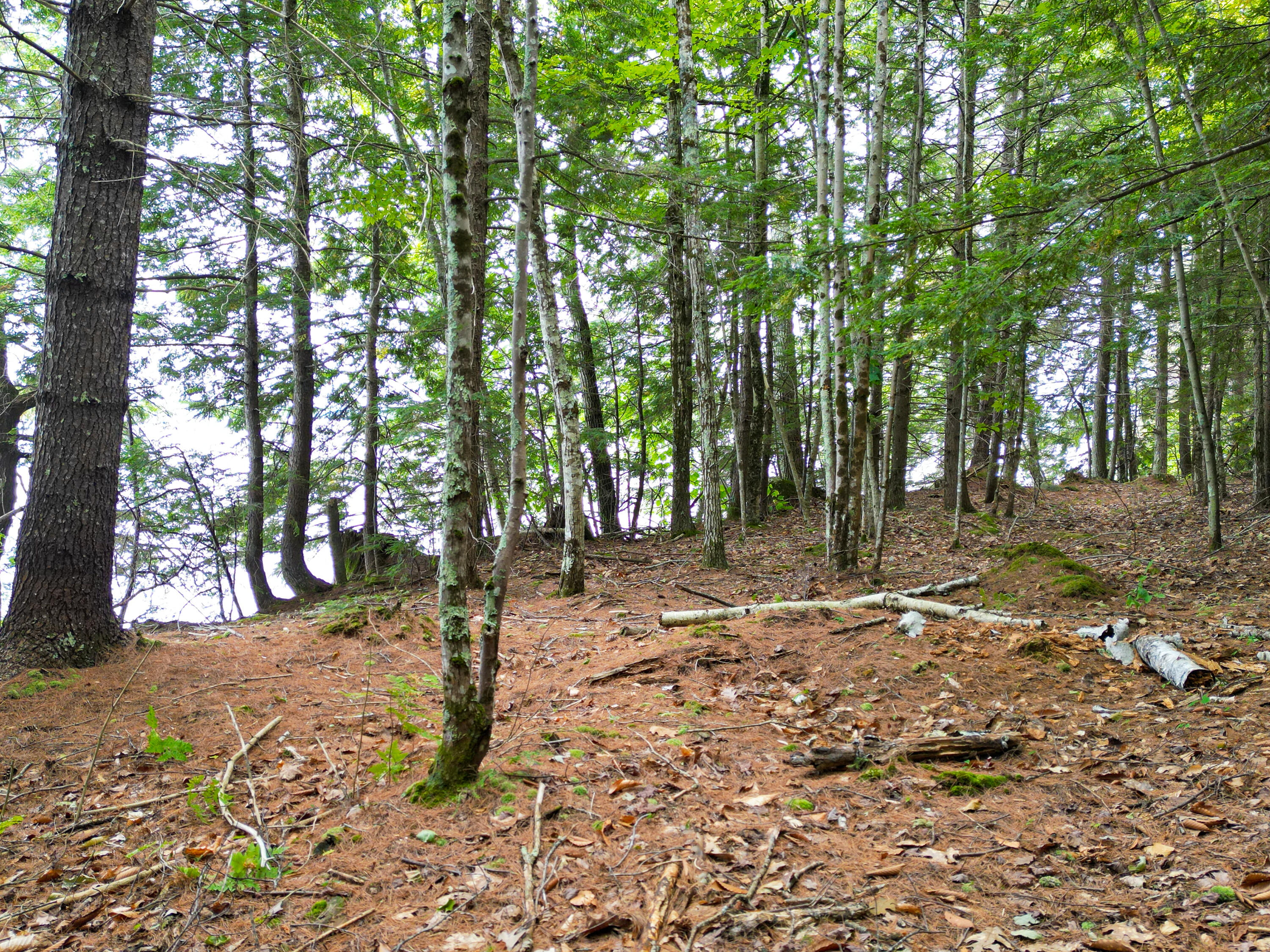 0 Osprey Point Belgrade, ME 04917 - Photo 14 of 23 110181gr-107
