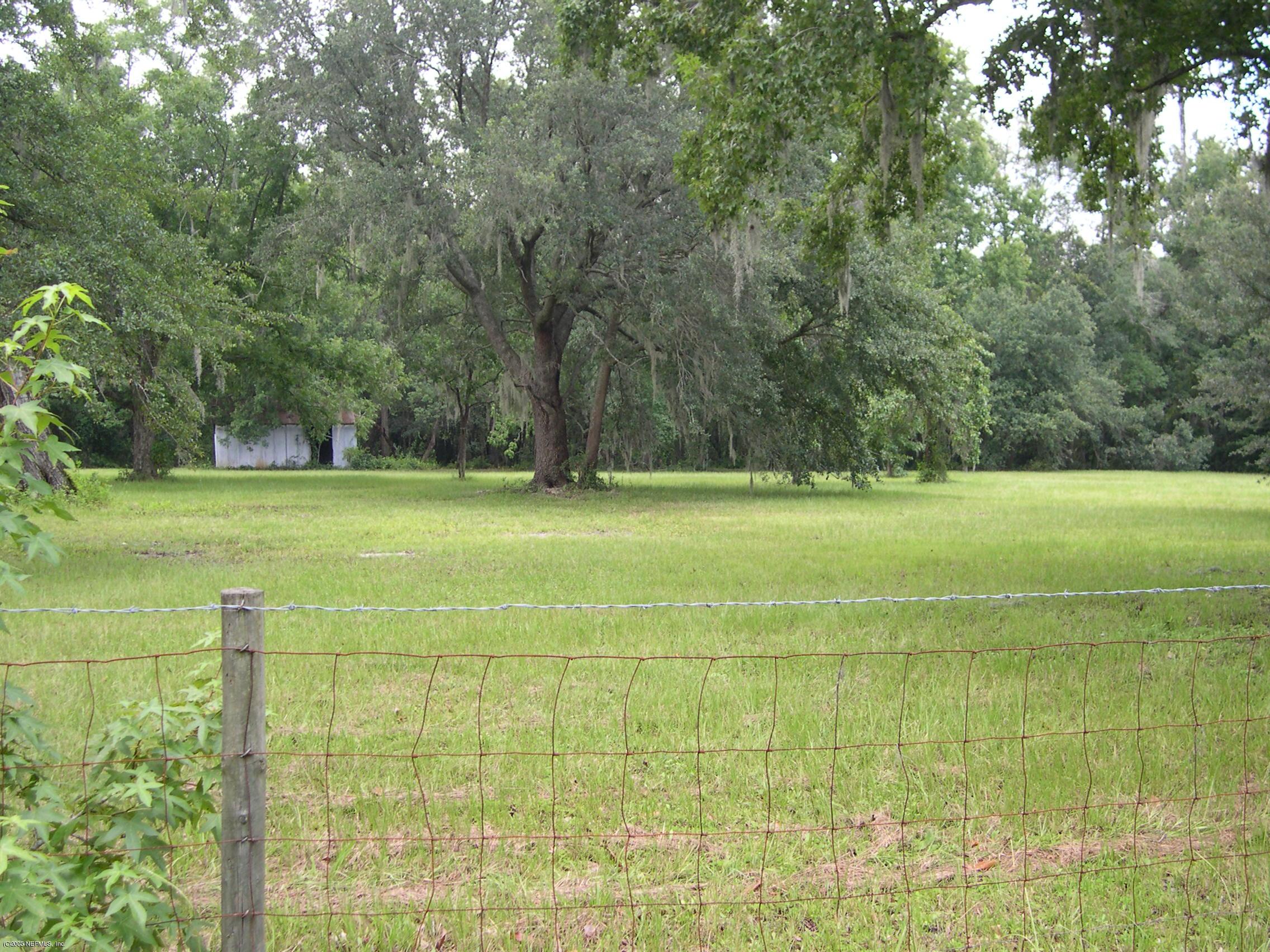 Bowie Land