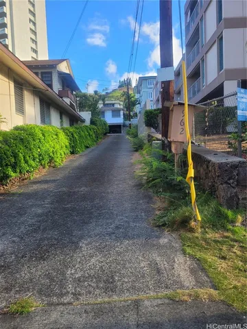 a backyard of a house with plants and large tree